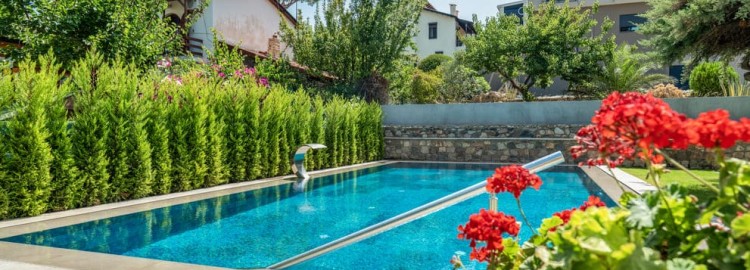 10 plantes pour l'aménagement des piscines